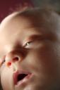 Luther Close-up