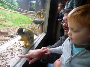 Luther-with-monkey-1