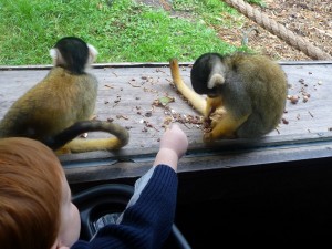 Luther-with-monkey-2