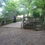 Luther-and-Mummy-pooh-sticks