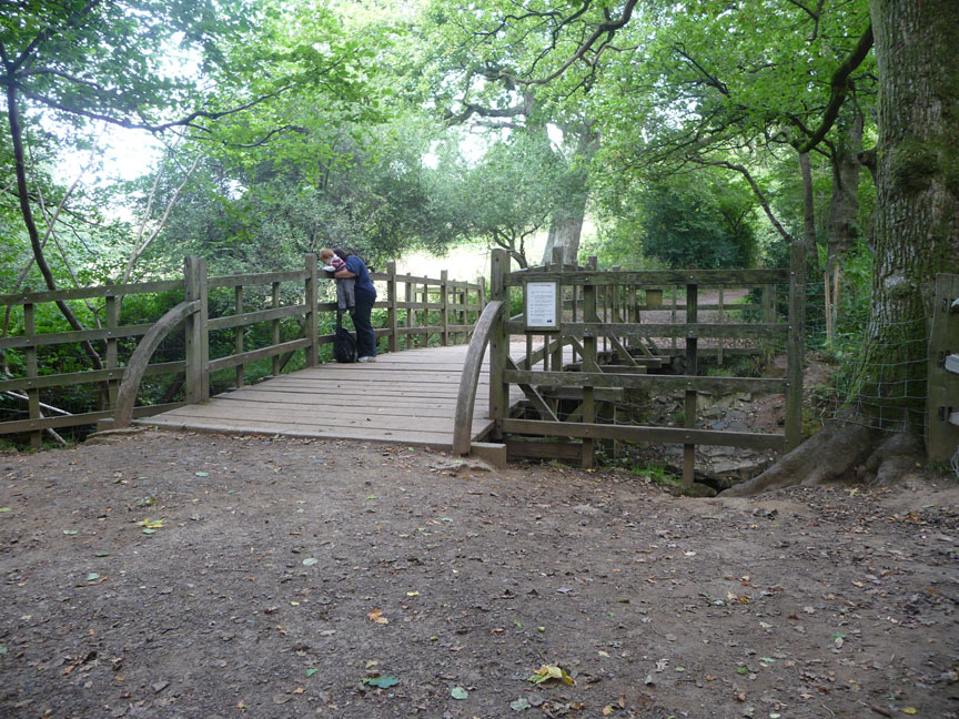 Pooh sticks!