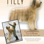 Tilly's-ad-copy-3