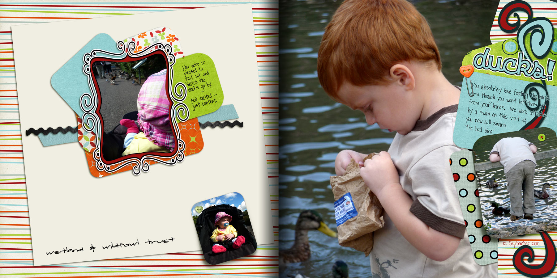 Wetland and Wildfowl Trust