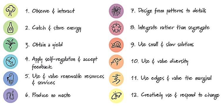 Permaculture-Principles